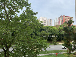 Blk 213 Bishan Street 23 (Bishan), HDB 4 Rooms #250299021